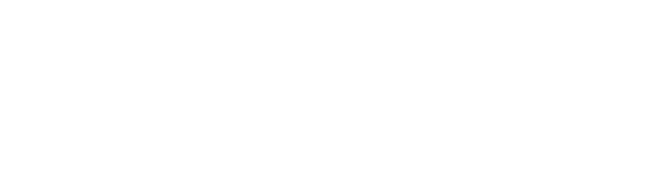 logo apaisado negativo